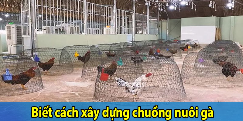 Biết cách xây dựng chuồng nuôi gà