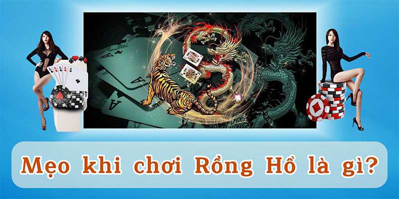 Mẹo khi chơi Rồng Hổ là gì? 